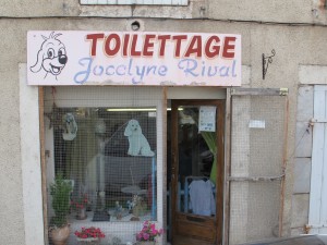 vitrine-toilettage-raphaele-heliot